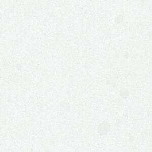 Snow Storm